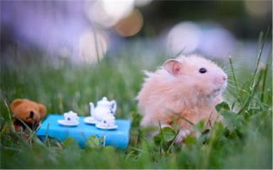 必赢国际bwin官网V8.7专业版