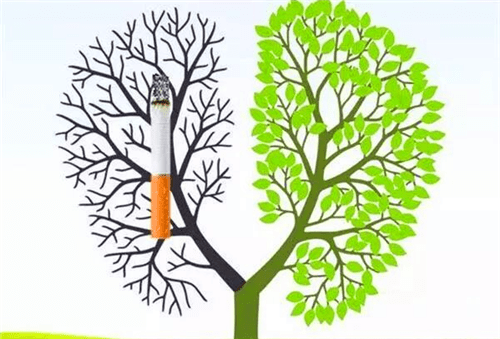 歪歪盒子去广告版