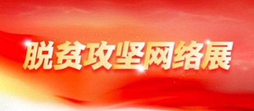 od体育注册安卓版二维码