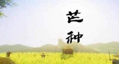 小熊洗车APP
