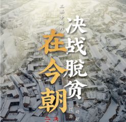 28圈app