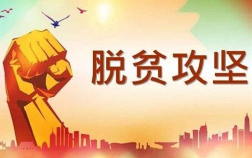 足球押注appV3.7专业版