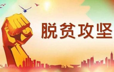 开云体手机版登录入口V4.6专业版