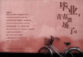 EMC易倍appV5.9专业版