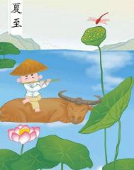 博扬体育入口安卓版二维码