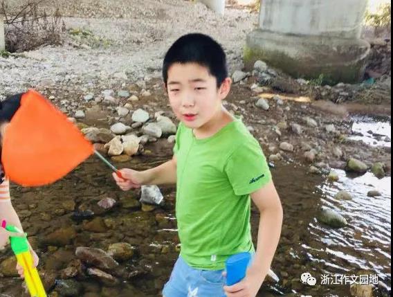 开云体育官方下载app