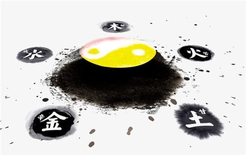 巴沙体育appV3.3专业版