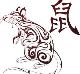 eman安卓版