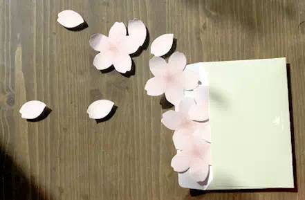 即送彩金appV3.6专业版