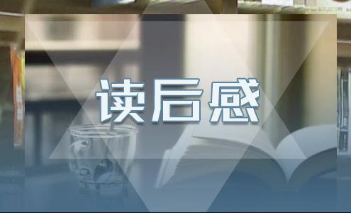 桌秀美化软件
