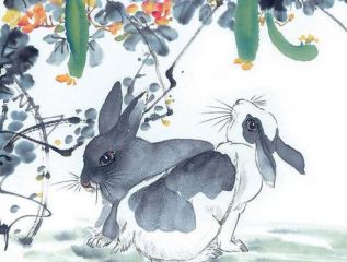 开云app官方官网入口V3.9专业版