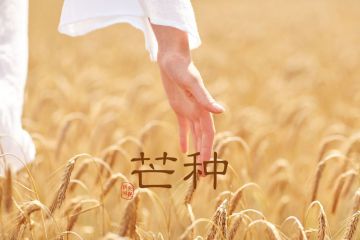 109yl彩票官网2025版角色合作解谜