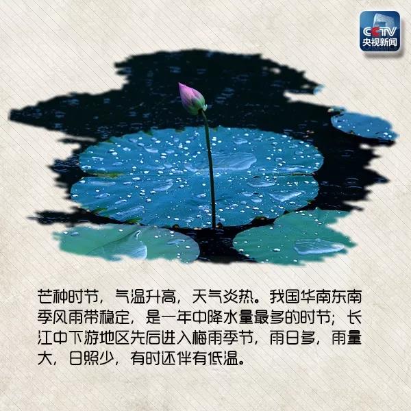 贵州药材APP
