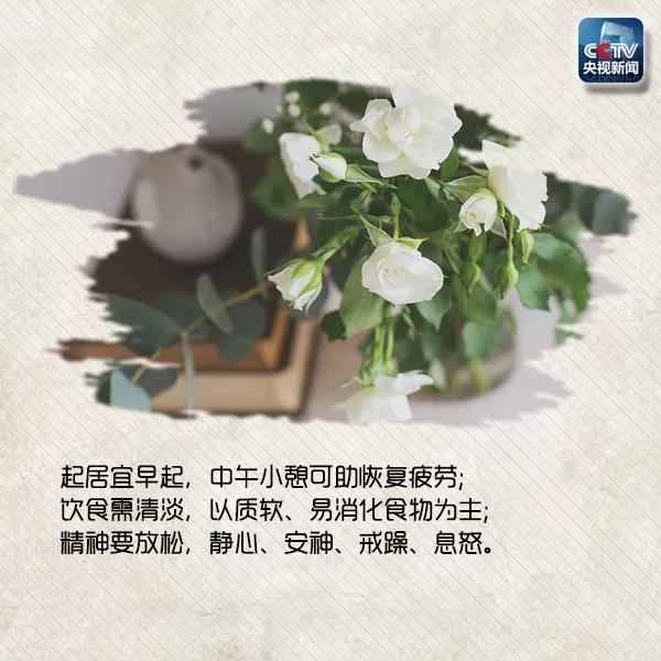 656娱乐彩票appV9.5专业版