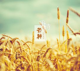 kaiyun体育官网登录地址安卓版二维码