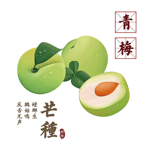 小熊洗车APP
