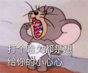 9001cc金沙appV1.5专业版