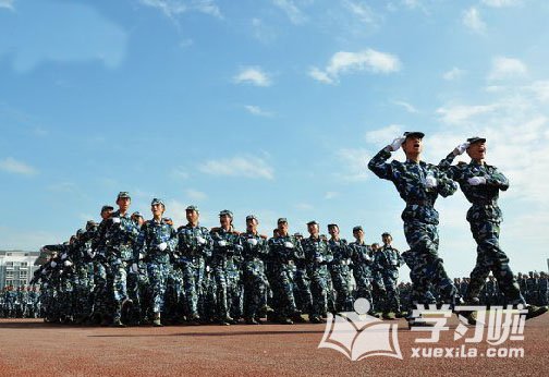 开云官方网页版官网