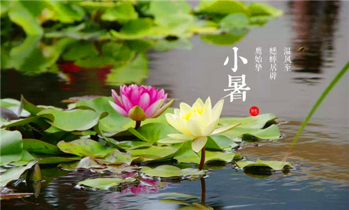 M6在线官网安卓版二维码