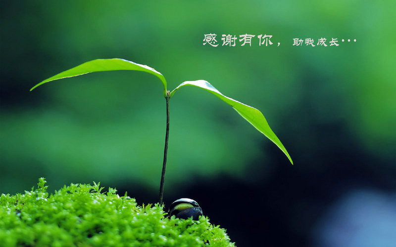 mg游戏网站V3.7专业版