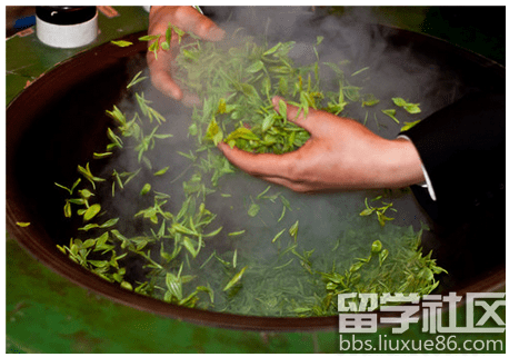 收米体育官网V2.2专业版