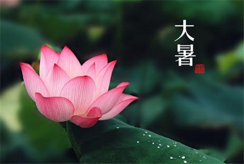 河南汽车维修平台APP