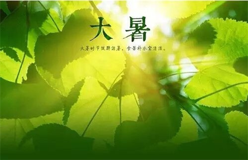星空体彩V4.5专业版