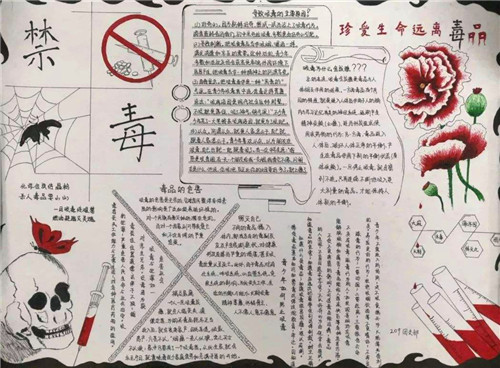 eman安卓版