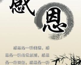 贵州药材APP