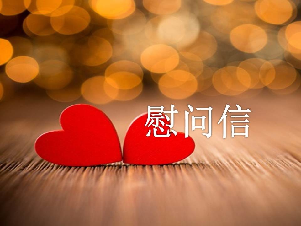 凤凰论坛appV2.7专业版
