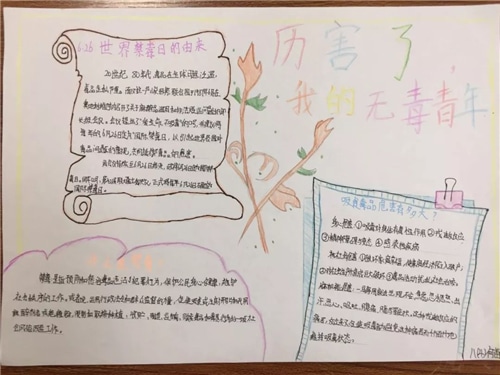 开云官方网站在线登录V1.9专业版