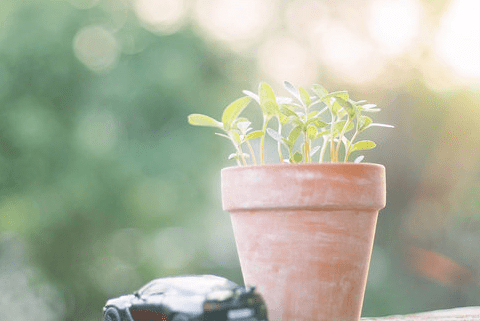 开云kaiyun最新版本下载2025最新版动态江湖事件