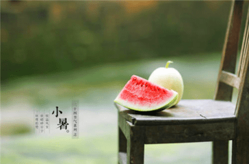 贵州药材APP