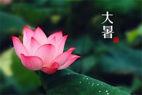 Zend Studio 13.5修改版