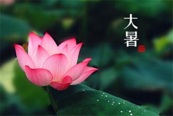 威尼斯2299app旁白与玩家选择冲突场景