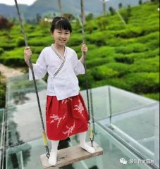 东赢appV3.8专业版