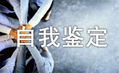 graphicsgale汉化修改版