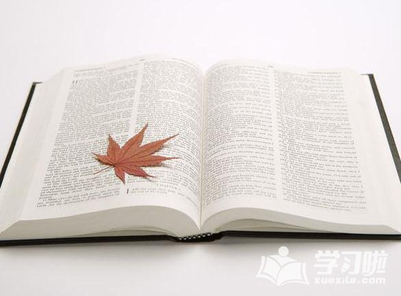 东盟体育APP下载V5.8专业版