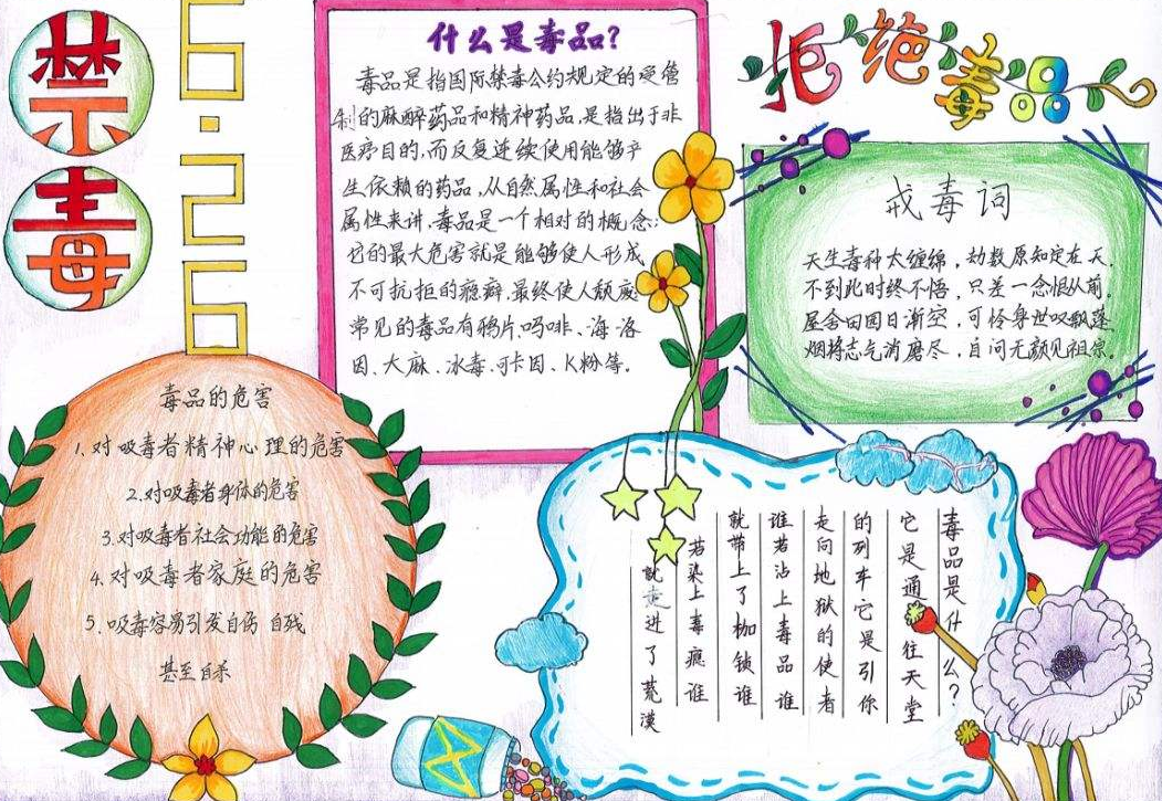 澳门6766网站netappV6.4专业版