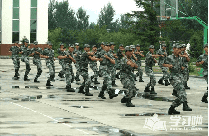 开云kaiyun官方版