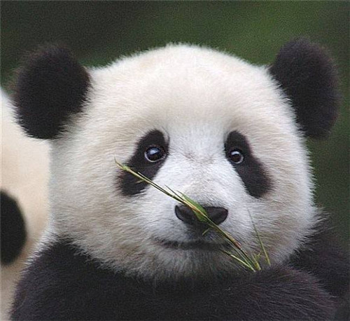 众享娱乐app安卓版二维码