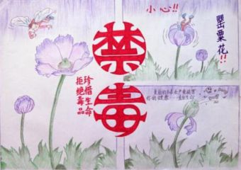 eman安卓版