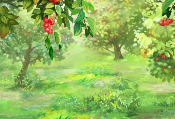 开云app官方体育app注册V6.3专业版
