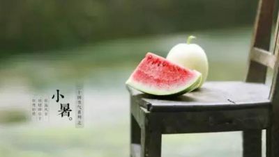 开云kaiyun官网最新动态