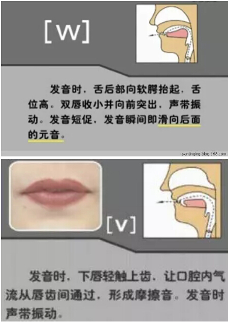 贵州药材APP
