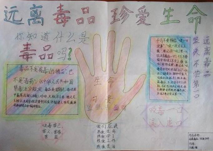 小熊洗车APP