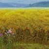 威客电竞app2025版团队竞技对战场景