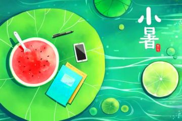 气泡星球官方版