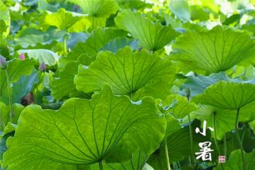 一键OK还原精灵