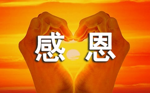 鸭脖体育官网入口2025版角色自定义与商城界面